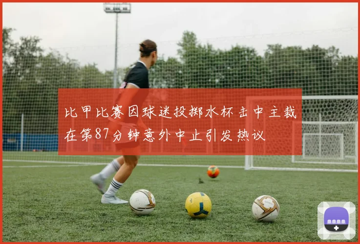 比甲比赛因球迷投掷水杯击中主裁在第87分钟意外中止引发热议