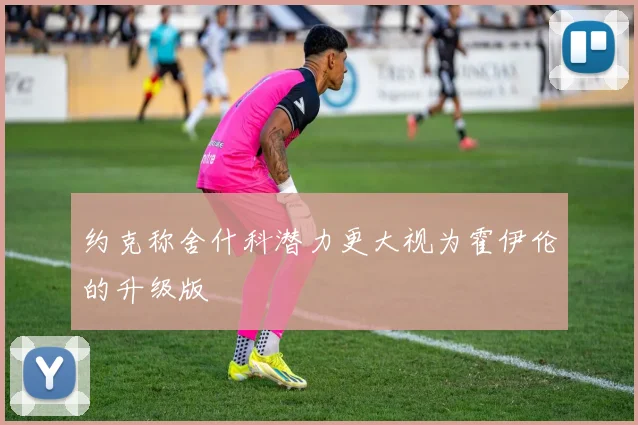 约克称舍什科潜力更大视为霍伊伦的升级版