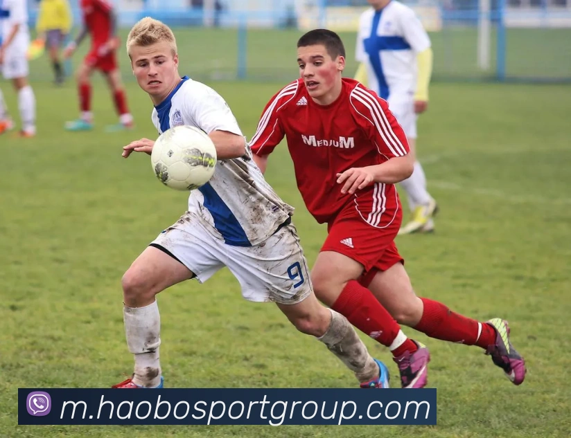 App Interface Preview